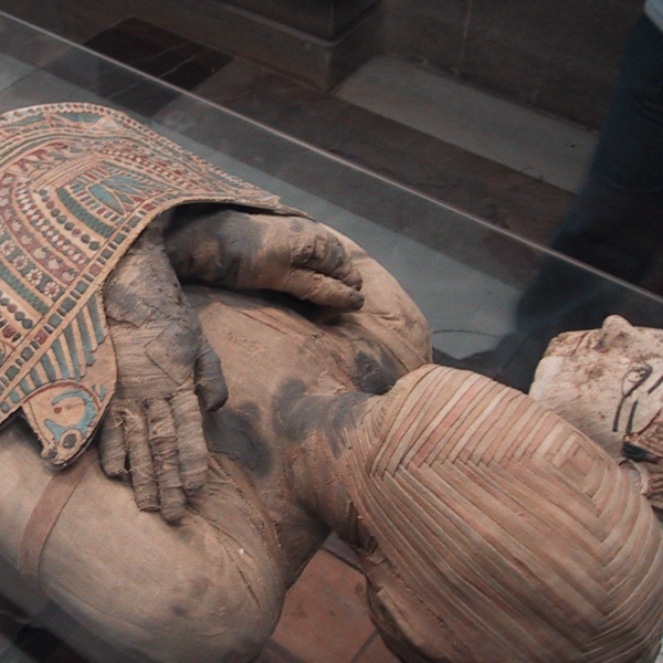 Mummy in museum case